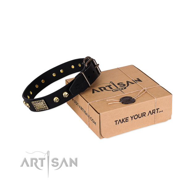 Reliable traditional buckle on dog collar for comfortable wearing