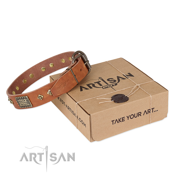 Fine quality genuine leather collar for your handsome canine