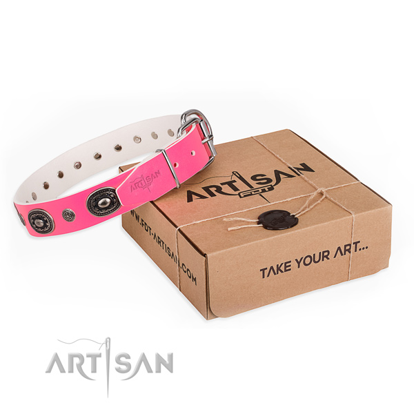 Durable full grain natural leather dog collar handcrafted for fancy walking