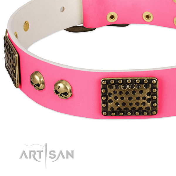 Corrosion proof traditional buckle on genuine leather dog collar for your dog