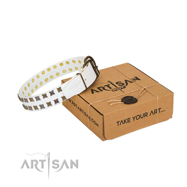 Natural leather collar with incredible embellishments for your pet