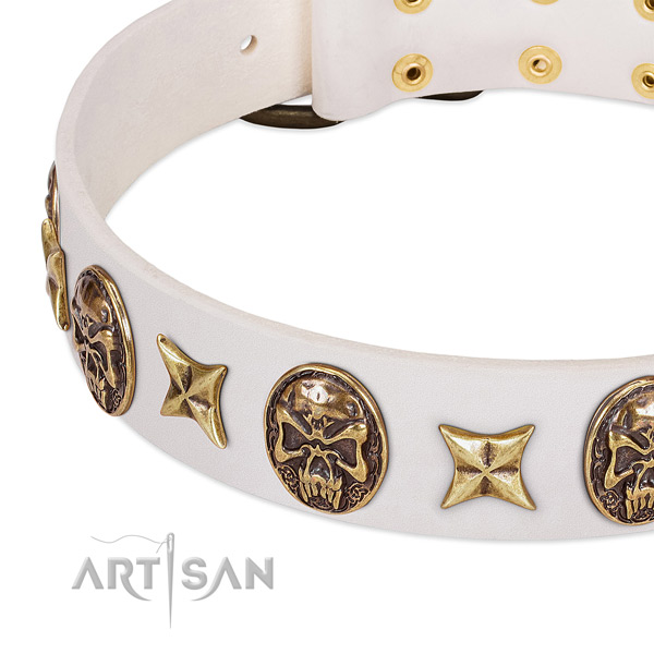 Genuine leather dog collar with corrosion resistant hardware
