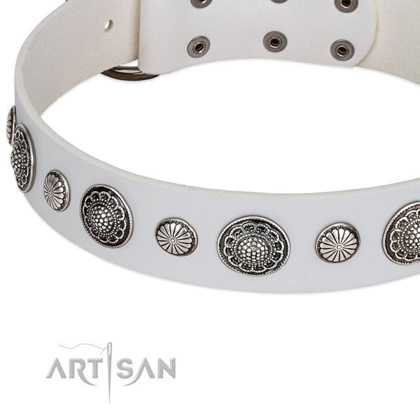 Genuine leather collar with reliable fittings for your lovely dog