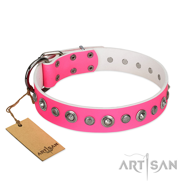 High quality genuine leather dog collar with awesome adornments