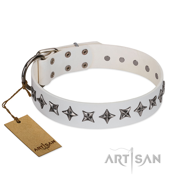 Everyday walking dog collar of fine quality natural leather with decorations