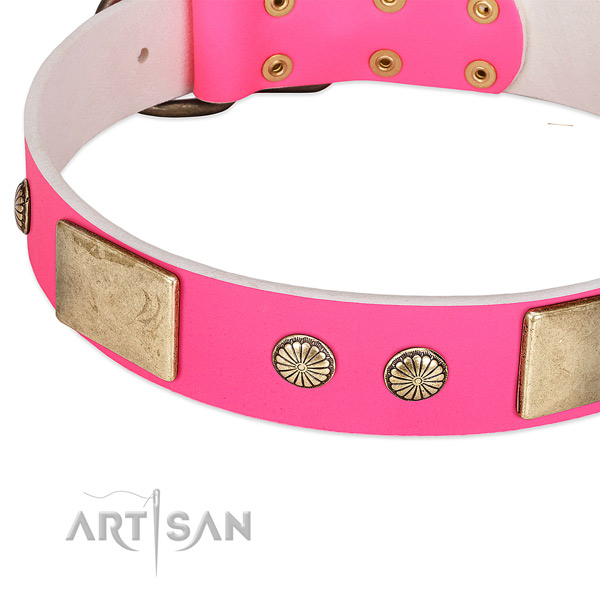 Corrosion proof D-ring on leather dog collar for your doggie