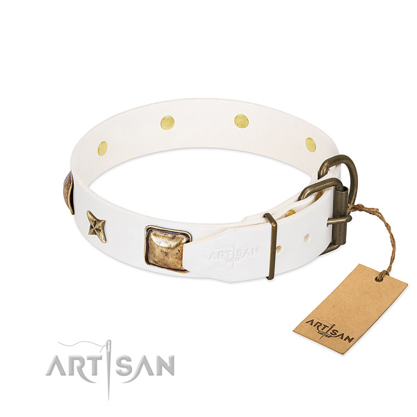 Genuine leather dog collar with durable fittings and decorations