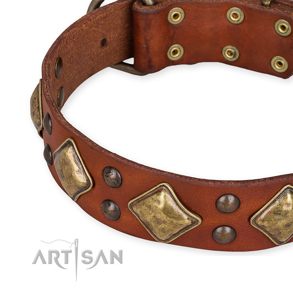 Leather collar with reliable traditional buckle for your stylish canine