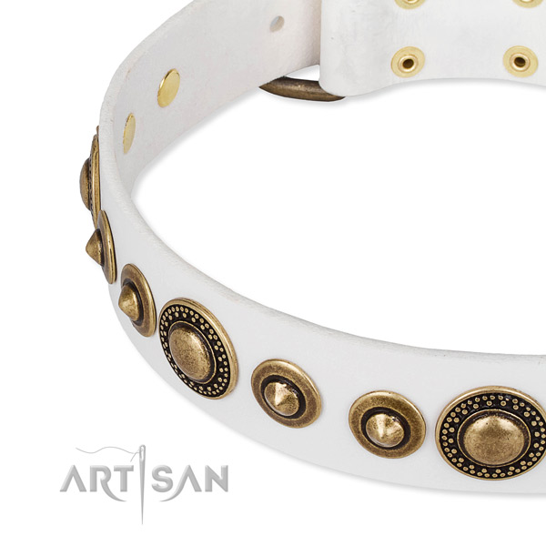 Best quality full grain leather dog collar handcrafted for your beautiful four-legged friend