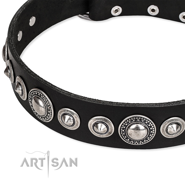 Daily use adorned dog collar of durable full grain leather