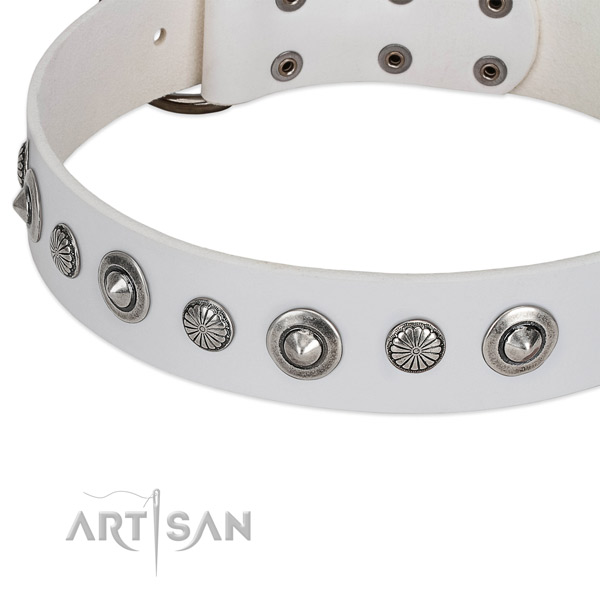Full grain leather collar with durable hardware for your impressive doggie