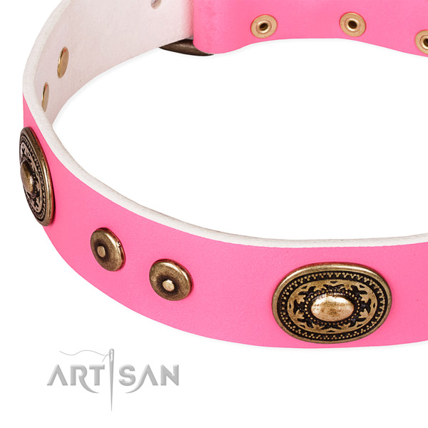 Embellished dog collar made of quality leather