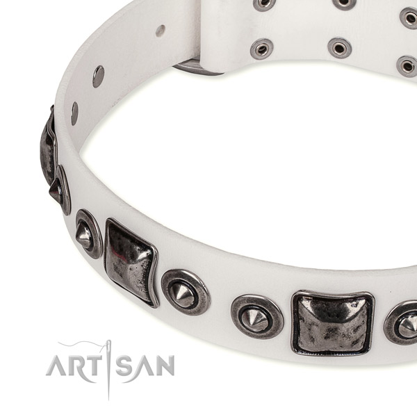 Top rate full grain natural leather dog collar crafted for your handsome dog