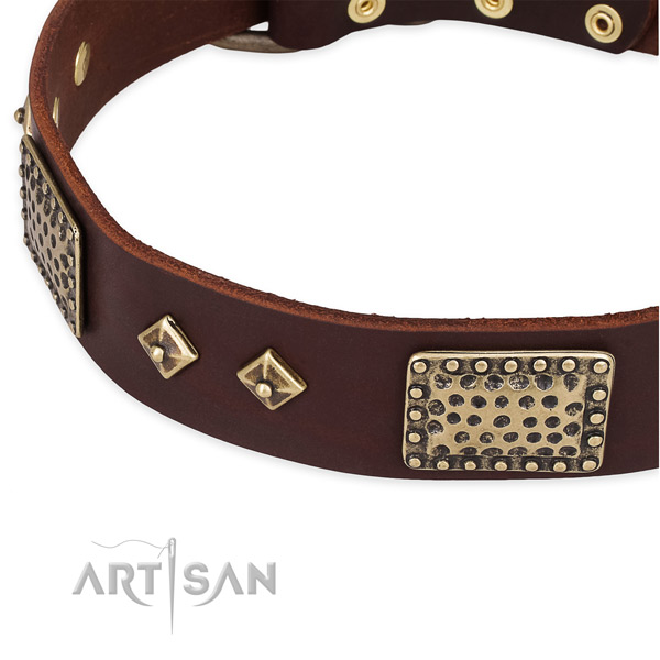 Rust-proof buckle on genuine leather dog collar for your canine