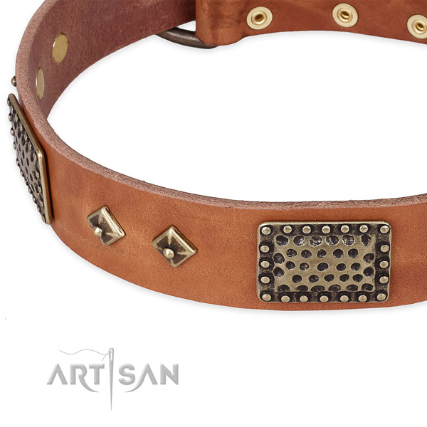 Rust-proof traditional buckle on full grain natural leather dog collar for your pet