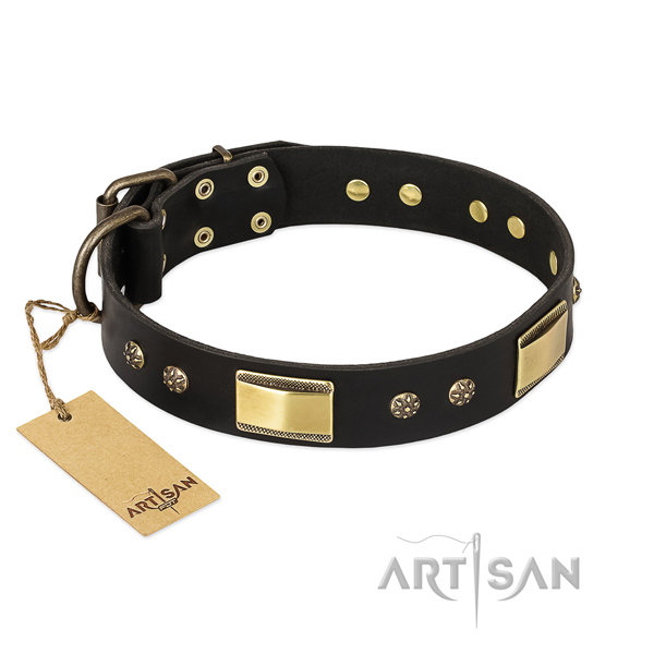 Studded full grain natural leather dog collar for fancy walking