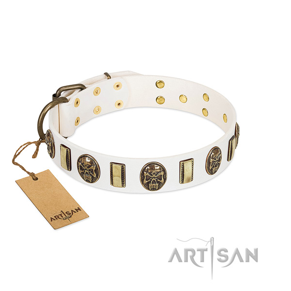 Perfect fit leather dog collar for everyday use