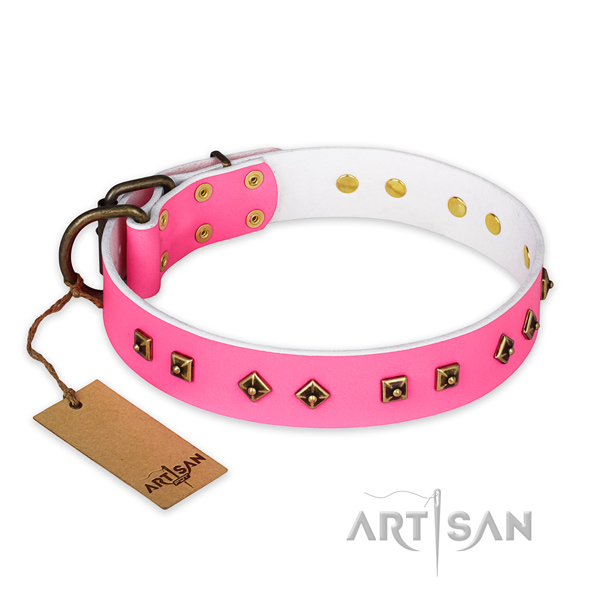 Unique genuine leather dog collar with durable D-ring