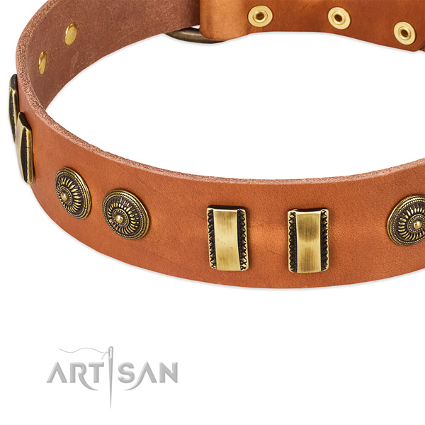 Rust resistant adornments on genuine leather dog collar for your doggie