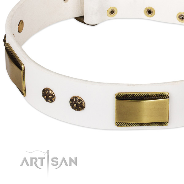 Corrosion resistant embellishments on full grain leather dog collar for your pet