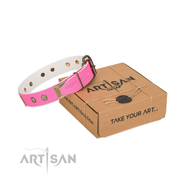 Rust-proof studs on dog collar for daily walking