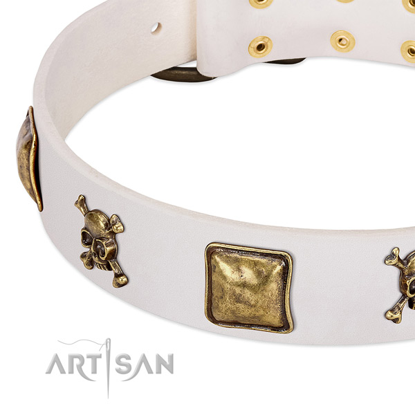 Comfortable wearing full grain natural leather dog collar with stylish embellishments