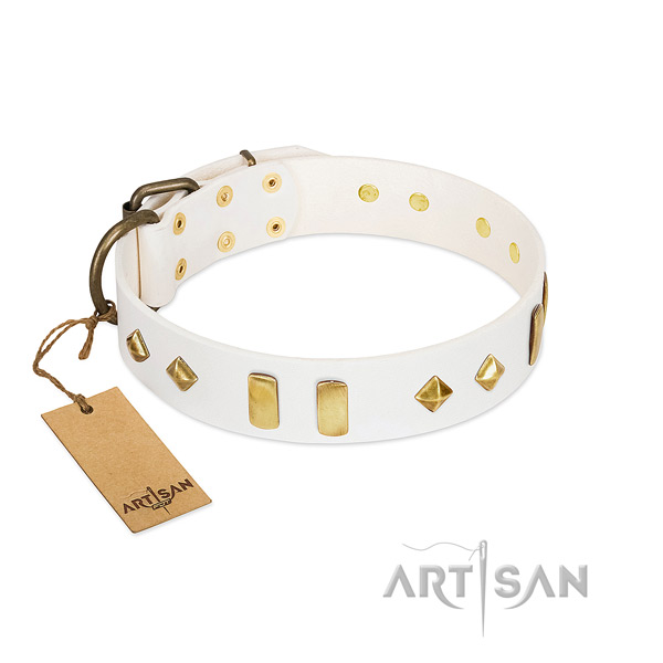 Quality leather dog collar with rust resistant fittings