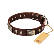 "Pirate Skull" FDT Artisan Brown Leather Newfoundland Collar with Old Silver Look Plates and Skulls