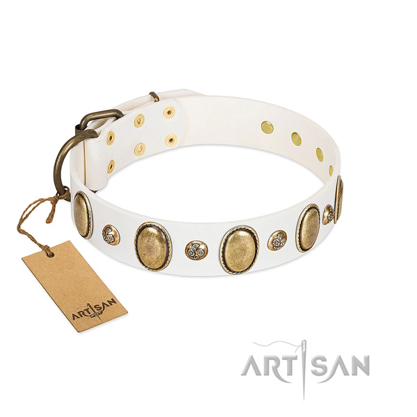 Full grain genuine leather dog collar of gentle to touch material with fashionable decorations