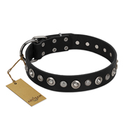 "Genteel Charm" FDT Artisan Black Leather Newfoundland Collar with Silver-like Round Conchos