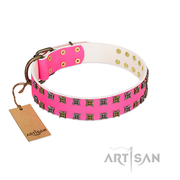 Full grain genuine leather collar with amazing studs for your doggie