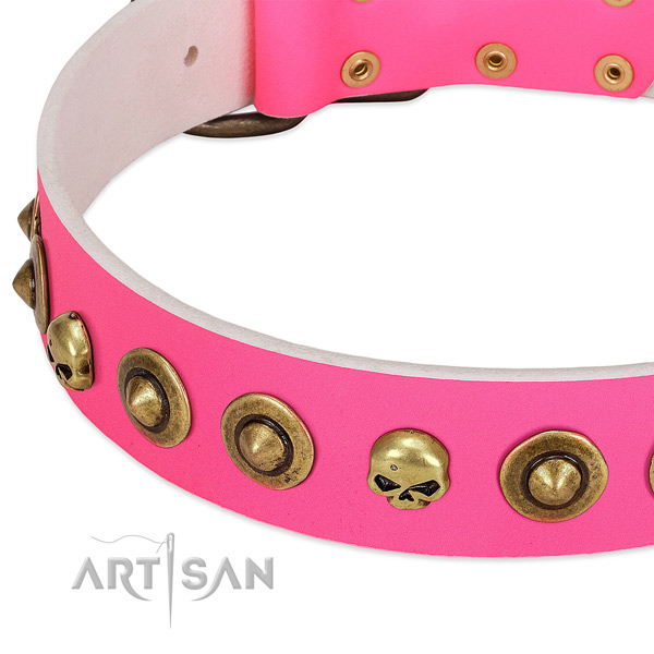 Top notch adornments on leather collar for your four-legged friend