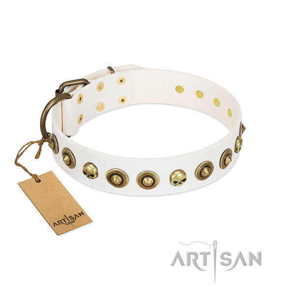 Genuine leather collar with impressive adornments for your dog