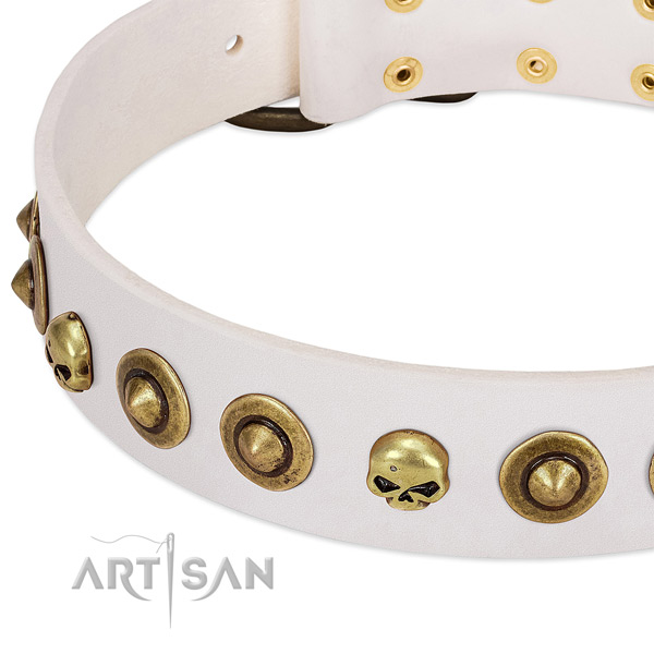 Trendy embellishments on full grain leather collar for your pet