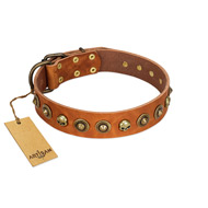 "Prez of the Pack" FDT Artisan Tan Leather Newfoundland Collar with Skulls and Brooches