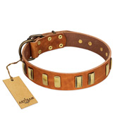 "Olive Slice" FDT Artisan Tan Leather Newfoundland Collar with Engraved and Smooth Plates