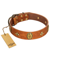 "Space Warrior" FDT Artisan Tan Leather Newfoundland Collar with Ovals and Stars