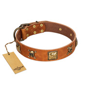 "Knights Templar" FDT Artisan Tan Leather Newfoundland Collar with Skulls and Crossbones Combined with Squares