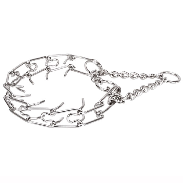 Dog prong collar of dependable stainless steel for large dogs