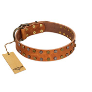 "Walk and Shine" FDT Artisan Tan Leather Newfoundland Collar with Antiqued Studs
