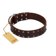 "Star Party" Handmade FDT Artisan Brown Leather Newfoundland Collar with Silver-Like Studs