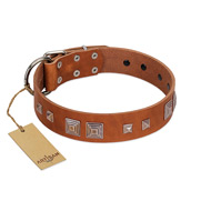 "Egyptian Gifts" Handmade FDT Artisan Tan Leather Newfoundland Collar with Chrome-plated Pyramids