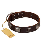 "Nut-Brown Finery" Embellished FDT Artisan Brown Leather Newfoundland Collar with Chrome Plated Crossbones and Plates