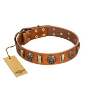 "Strike of Rock" FDT Artisan Tan Leather Newfoundland Collar with Plates and Medallions with Skulls  "Strike of Rock" FDT Artisan Tan Leather Newfoundland Collar with Plates and Medallions with Skulls