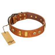 "Egyptian Script" FDT Artisan Tan Leather Newfoundland Collar with Plates and Small Studs