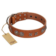 "Splendid Armor" Premium Quality FDT Artisan Tan Designer Newfoundland Collar with Shields and Stars
