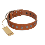 "Little Floret" Fashionable FDT Artisan Tan Leather Newfoundland Collar with Silver-Like Adornments