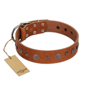 "Sweet Caramel" Designer FDT Artisan Tan Leather Newfoundland Collar