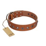 "Silver Age" Fashionable FDT Artisan Tan Leather Newfoundland Collar with Silver-Like Studs