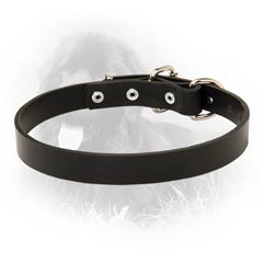 Newfoundland Leather Dog Collar 1 inch Wide